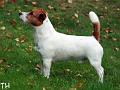 090916 arska